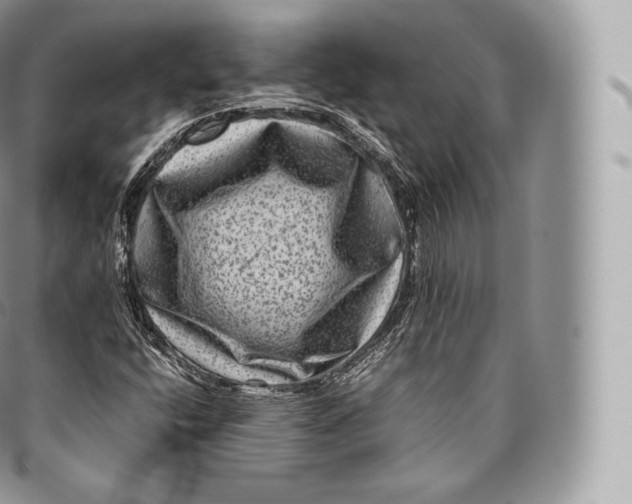 X0000096481400200802141710