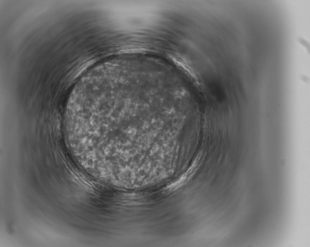 X0000096481401200802141710