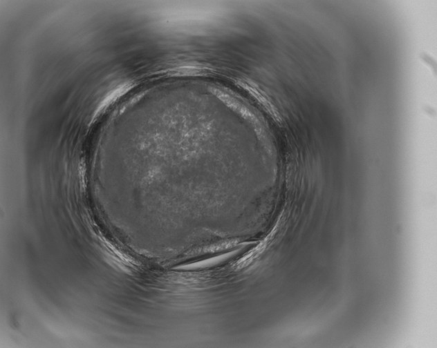 X0000096481402200802141710