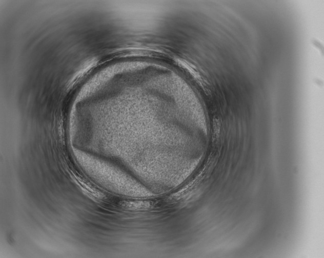 X0000096481403200802141710