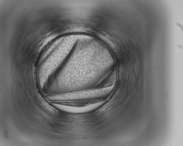 X0000096481404200802141710