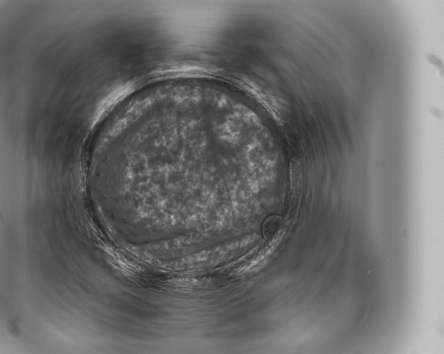 X0000096481405200802141710