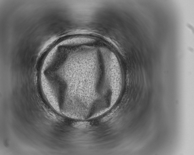 X0000096481406200802141710