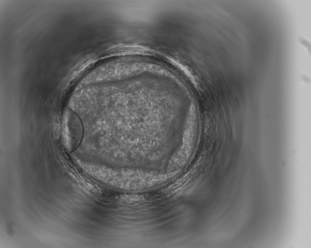 X0000096481407200802141710