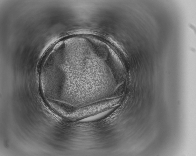 X0000096481408200802141710