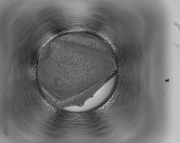 X0000096481409200802141710