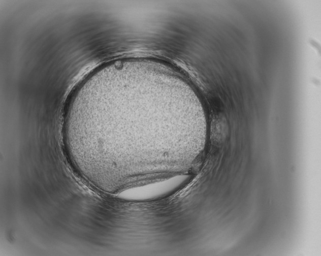 X0000096481410200802141710