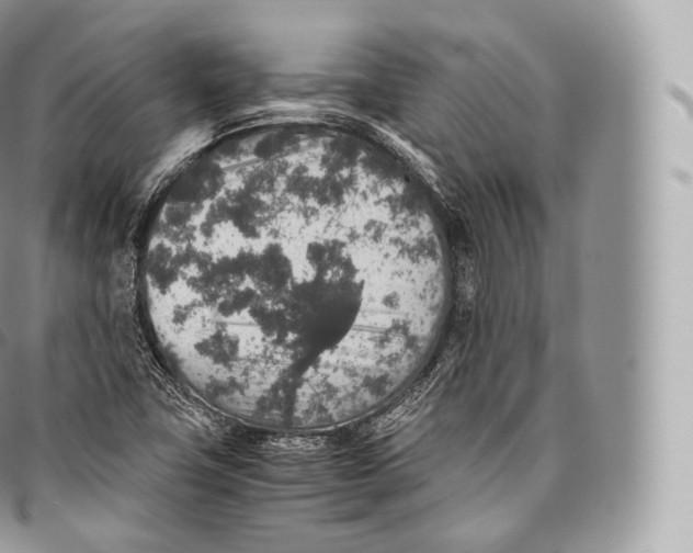 X0000096481411200802141710