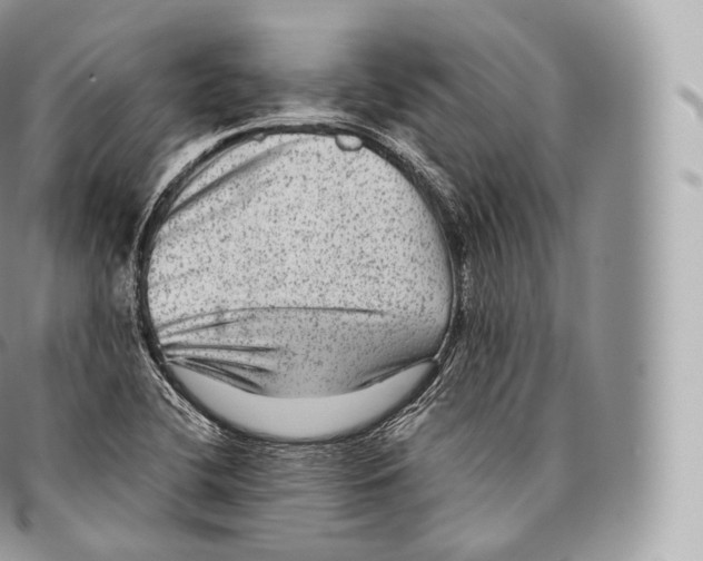 X0000096481412200802141710