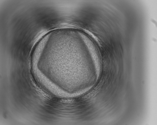 X0000096481415200802141710