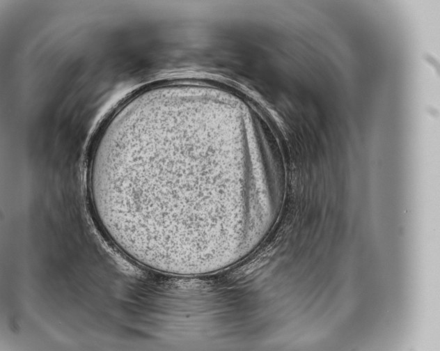 X0000096481416200802141710