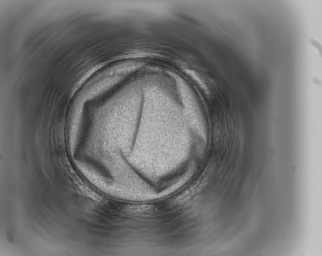 X0000096481417200802141710