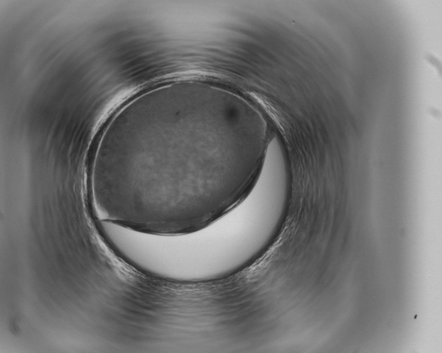 X0000096481418200802141710