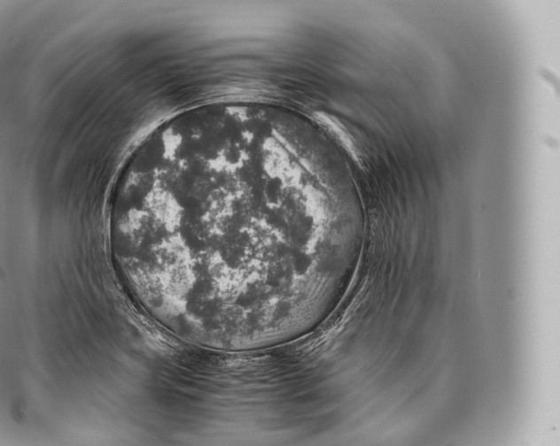 X0000096481419200802141711