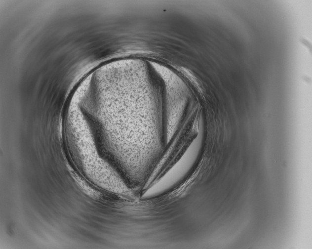 X0000096481420200802141711