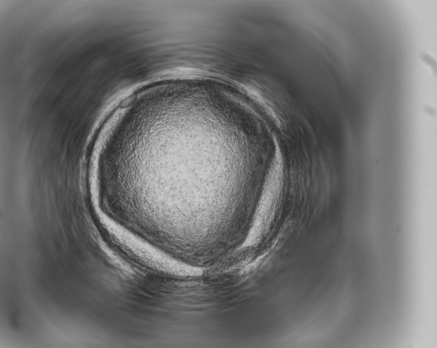 X0000096481421200802141711