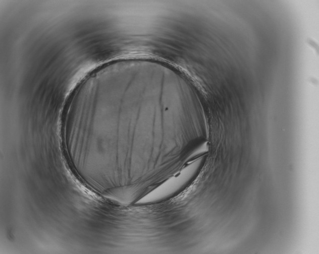 X0000096481422200802141711