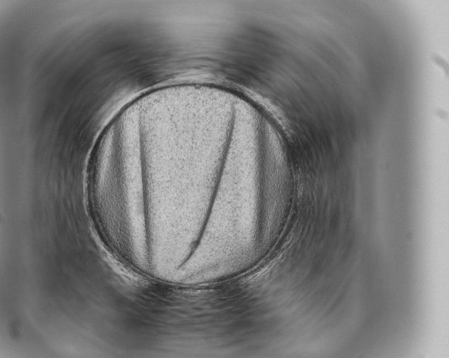 X0000096481423200802141711