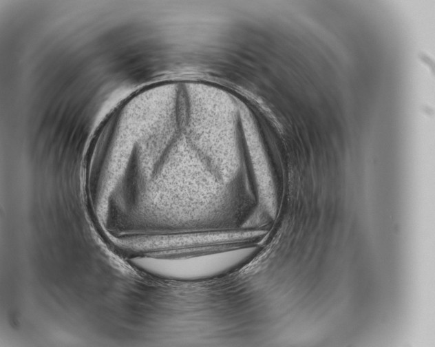 X0000096481424200802141711