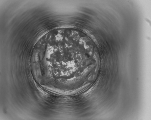 X0000096481425200802141711