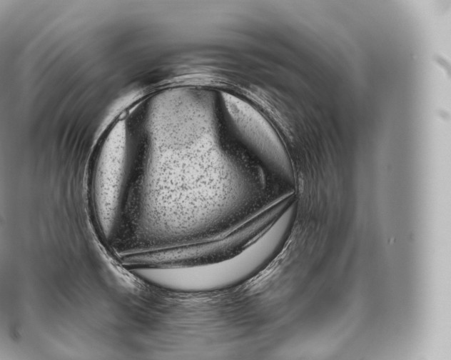 X0000096481426200802141711