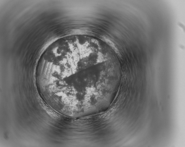 X0000096481427200802141711