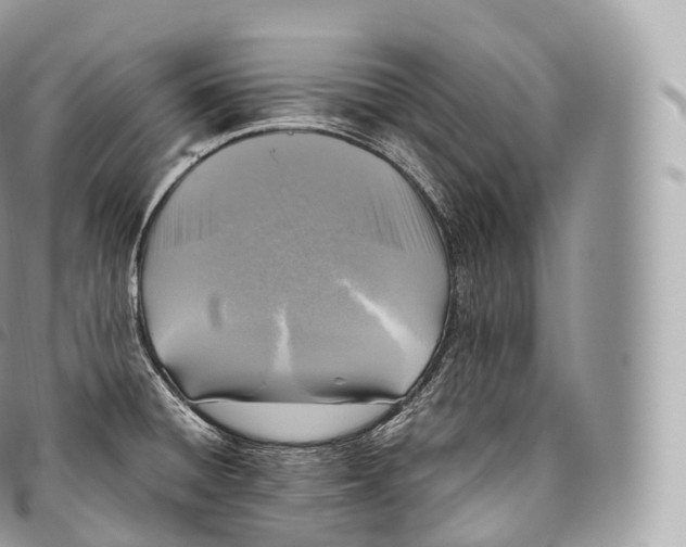 X0000096481428200802141711