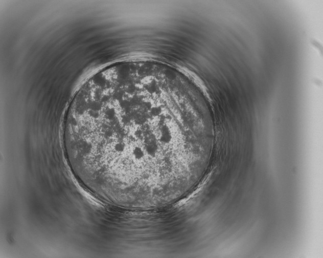 X0000096481429200802141711