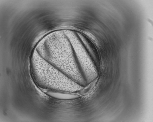 X0000096481430200802141711