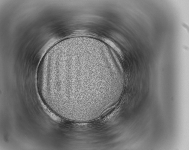 X0000096481431200802141711