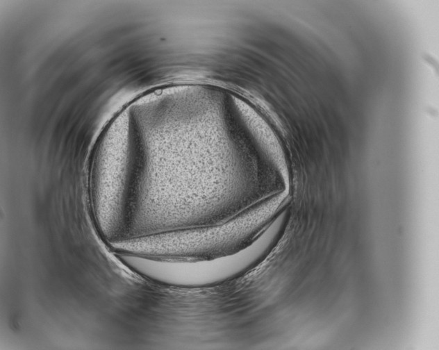 X0000096481432200802141711