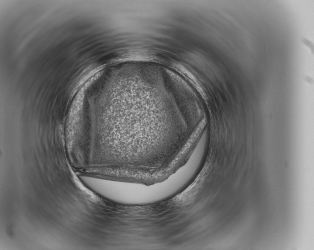 X0000096481433200802141711