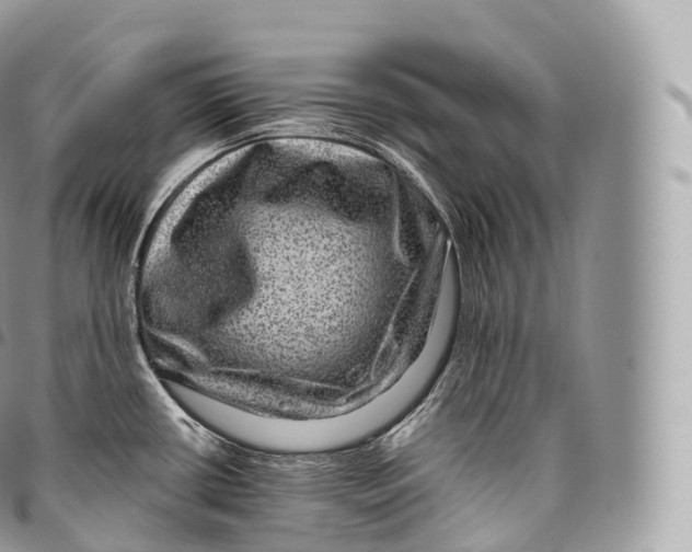 X0000096481434200802141711