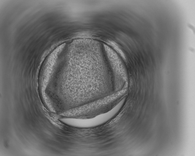 X0000096481435200802141711