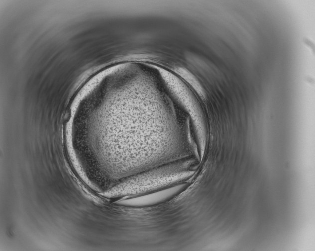 X0000096481436200802141711