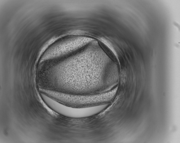 X0000096481437200802141711