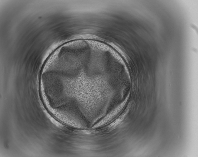 X0000096481438200802141711