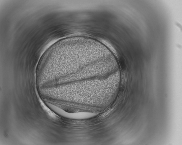 X0000096481439200802141711