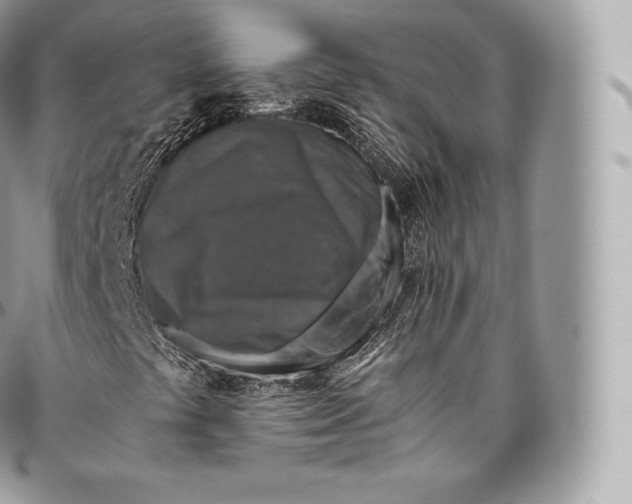 X0000096481441200802141710