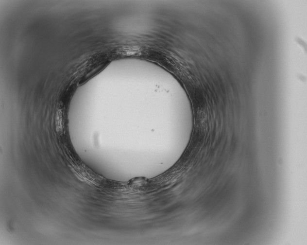 X0000096481442200802141710