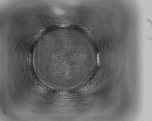 X0000096481443200802141710