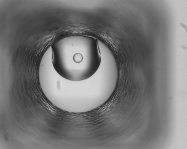 X0000096481444200802141710