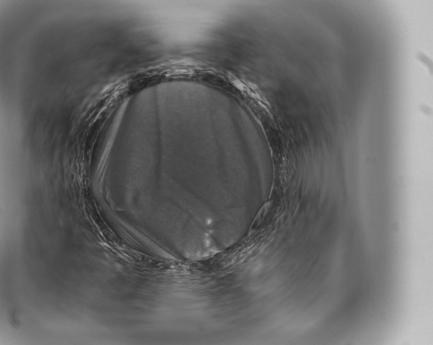 X0000096481445200802141710