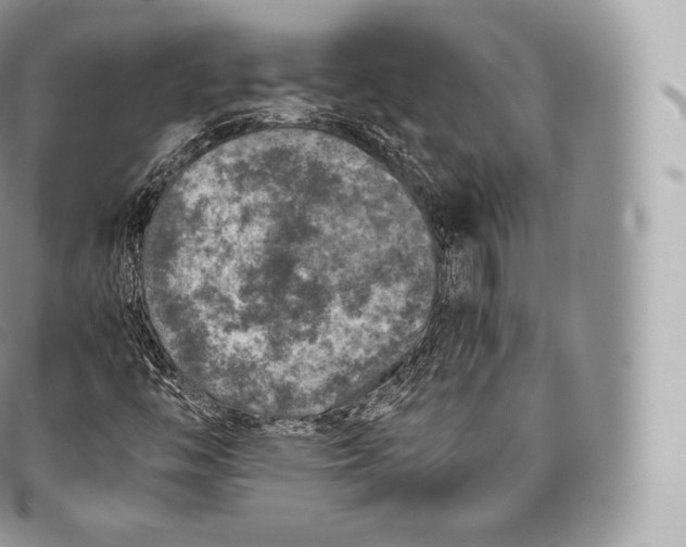 X0000096481446200802141710