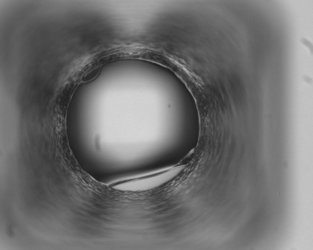 X0000096481447200802141710