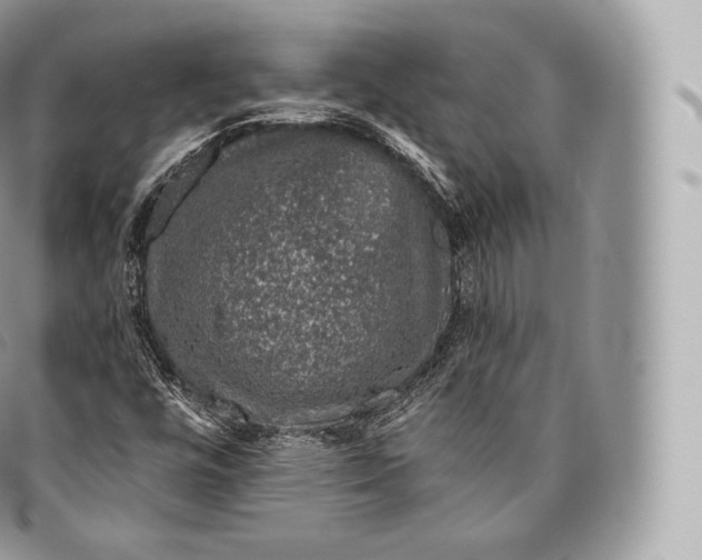 X0000096481448200802141710