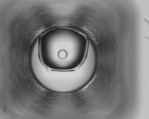 X0000096481449200802141710