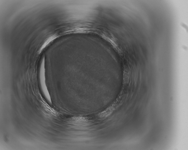 X0000096481450200802141710