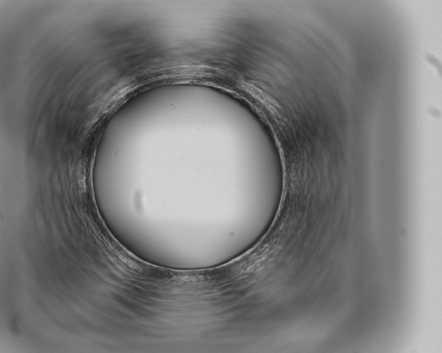 X0000096481451200802141710