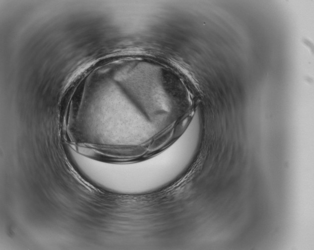 X0000096481452200802141710